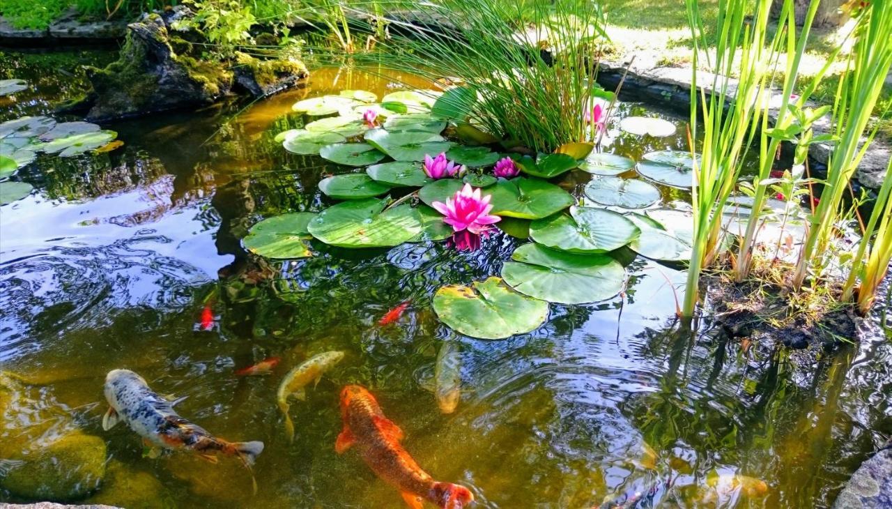 Gite Pause Au Jardin Saint-Branchs Ngoại thất bức ảnh